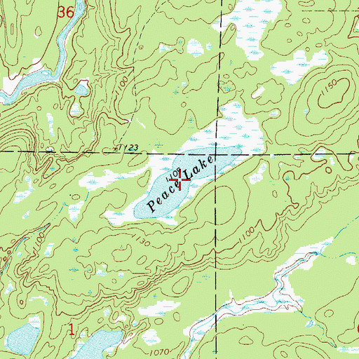 Topographic Map of Peace Lake, MN