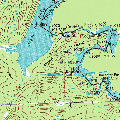 Topographic Map of Pine Island, MN