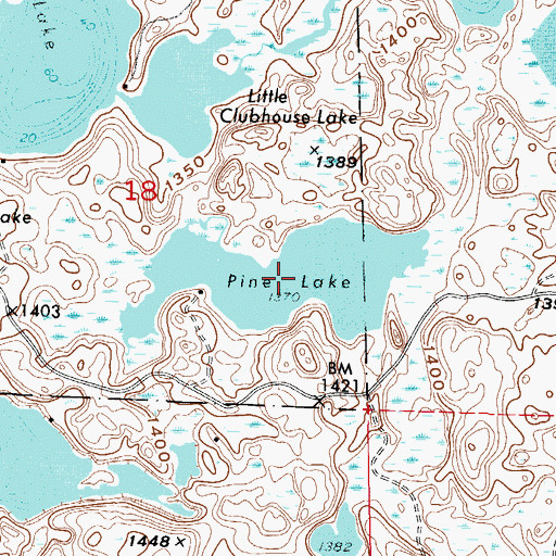 Topographic Map of Pine Lake, MN