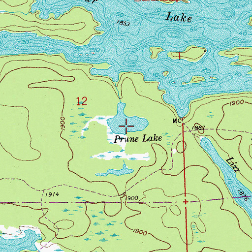 Topographic Map of Prune Lake, MN