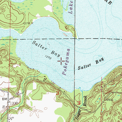 Topographic Map of Salter Bay, MN