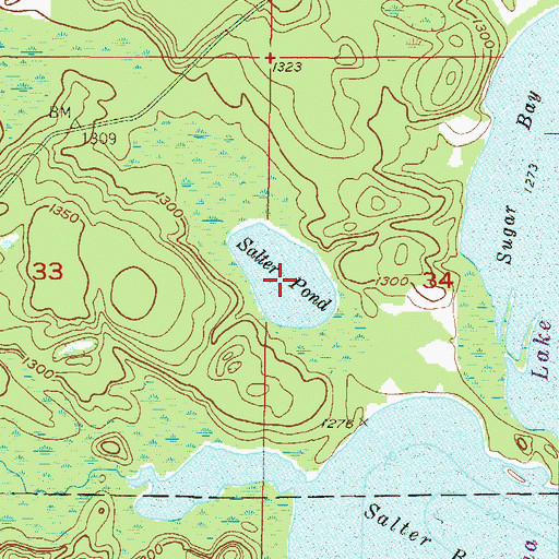 Topographic Map of Salter Pond, MN