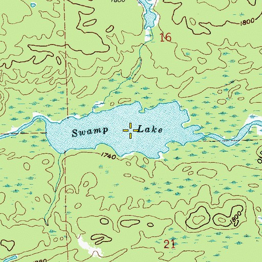 Topographic Map of Swamp Lake, MN