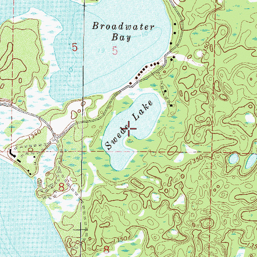 Topographic Map of Swede Lake, MN