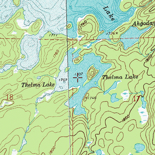 Topographic Map of Thelma Lake, MN