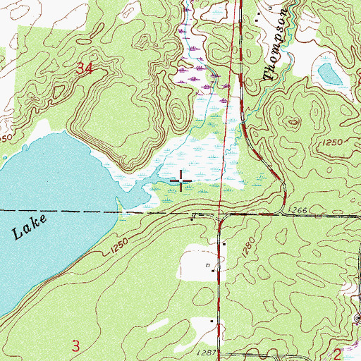 Topographic Map of Thompson Creek, MN