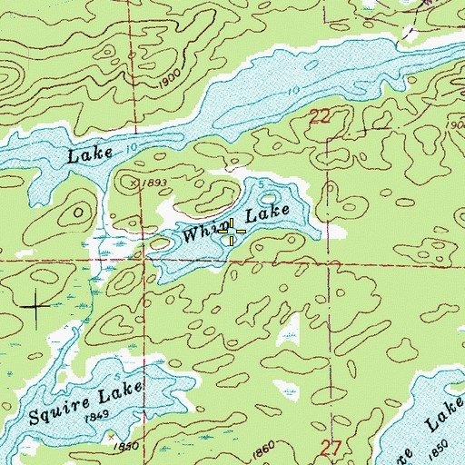 Topographic Map of Whip Lake, MN