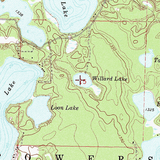 Topographic Map of Willard Lake, MN