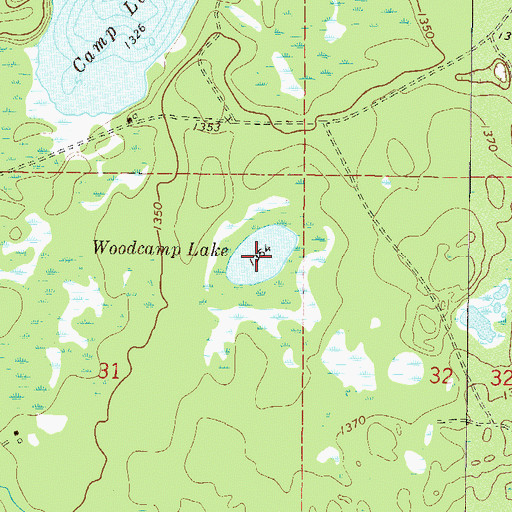 Topographic Map of Woodcamp Lake, MN