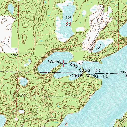 Topographic Map of Woods Bay, MN