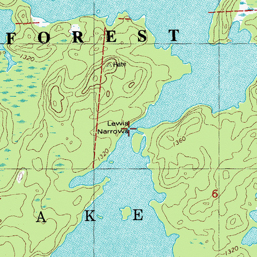 Topographic Map of Lewis Narrows, MN