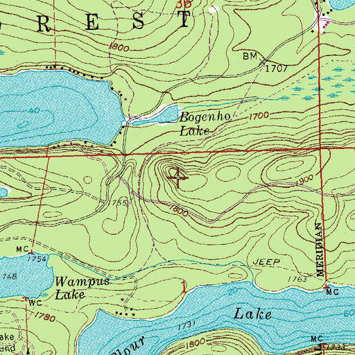 Topographic Map of Bearskin Lookout Tower, MN