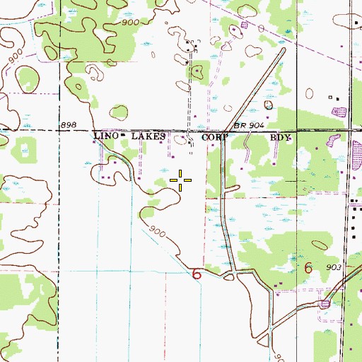 Topographic Map of Vieira Airport, MN