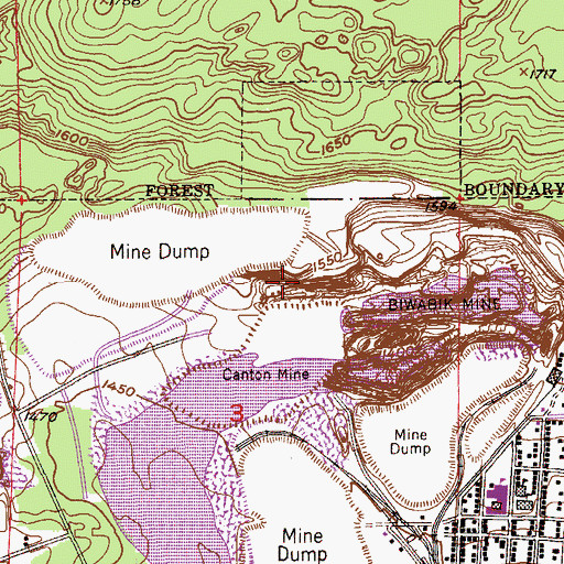 Topographic Map of Canton Mine, MN