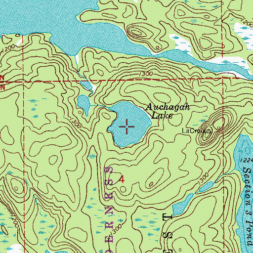 Topographic Map of Auchagah Lake, MN