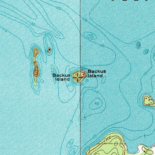 Topographic Map of Backus Island, MN