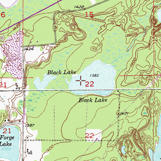 Topographic Map of Black Lake, MN