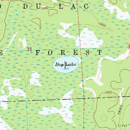 Topographic Map of Bog Lake, MN