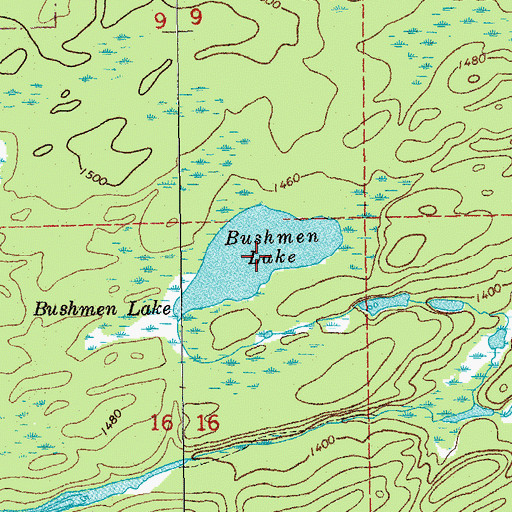 Topographic Map of Bushmen Lake, MN