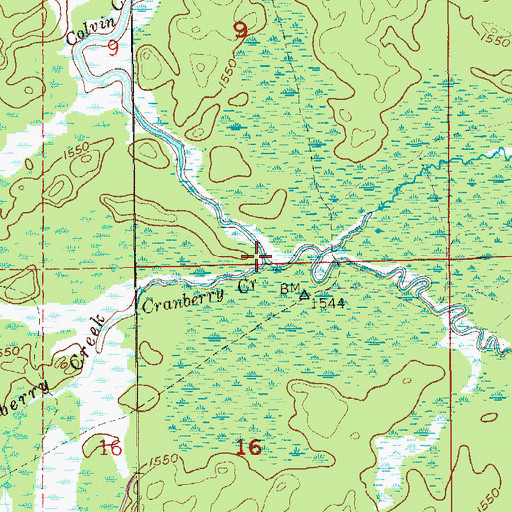 Topographic Map of Cranberry Creek, MN