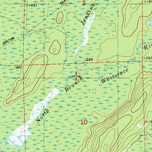 Topographic Map of Jenkins Creek, MN