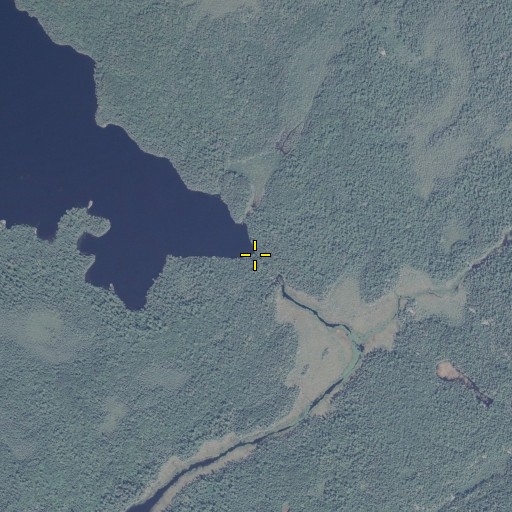 Aerial/Satellite Image of Korb River, MN