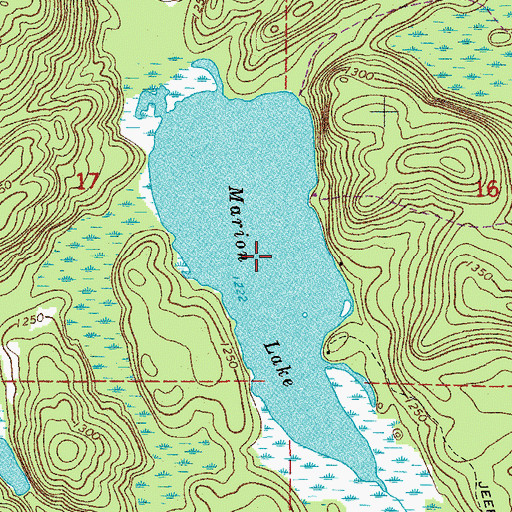 Topographic Map of Marion Lake, MN