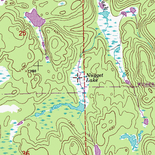 Topographic Map of Nugget Lake, MN