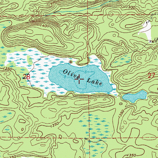 Topographic Map of Olive Lake, MN