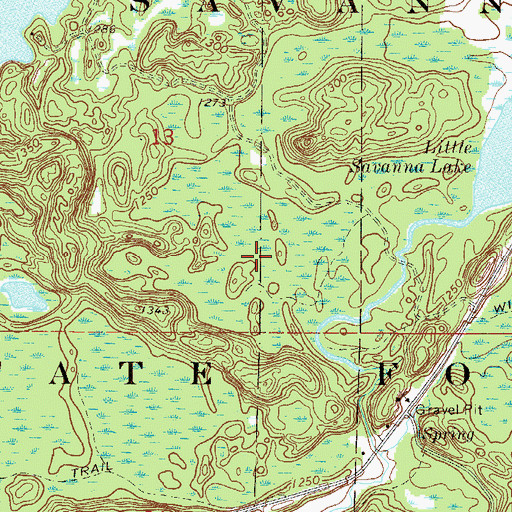 Topographic Map of Savanna State Forest, MN