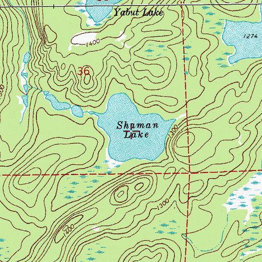 Topographic Map of Shaman Lake, MN