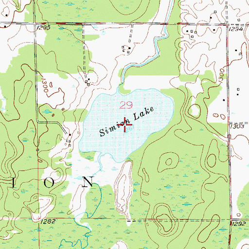 Topographic Map of Simian Lake, MN