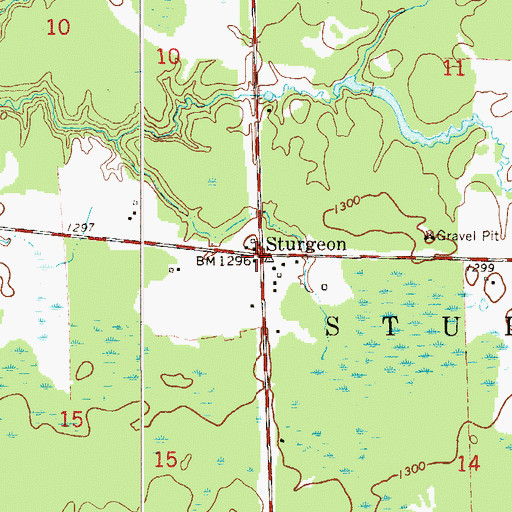 Topographic Map of Sturgeon, MN