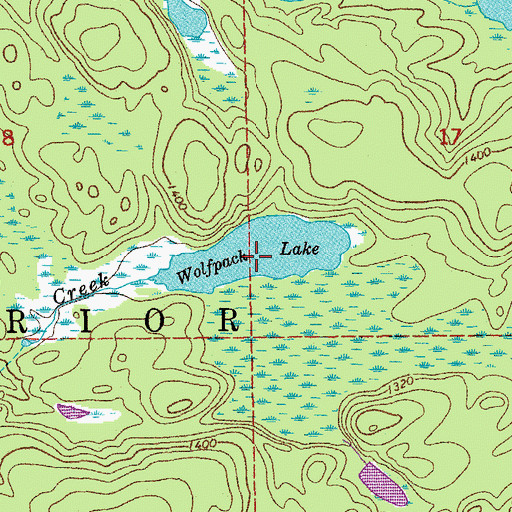 Topographic Map of Wolfpack Lake, MN