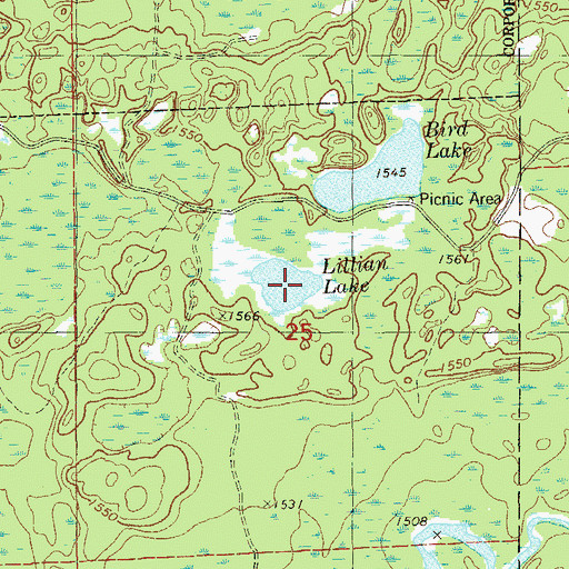 Topographic Map of Little Lillian Lake, MN