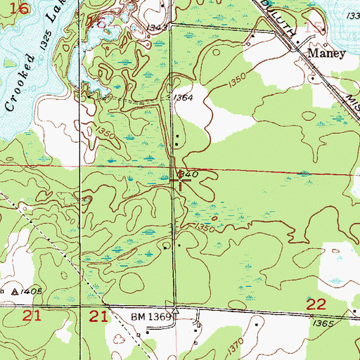 Topographic Map of Township of Alborn, MN
