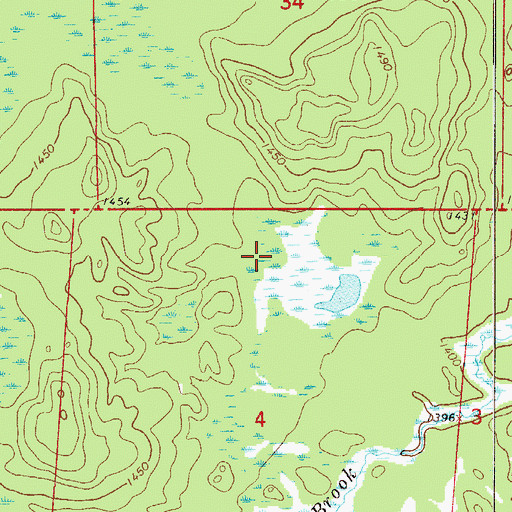 Topographic Map of Township of Bearville, MN