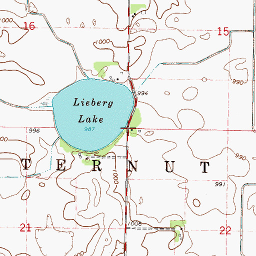 Topographic Map of Township of Butternut Valley, MN
