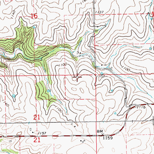 Topographic Map of Township of Caledonia, MN