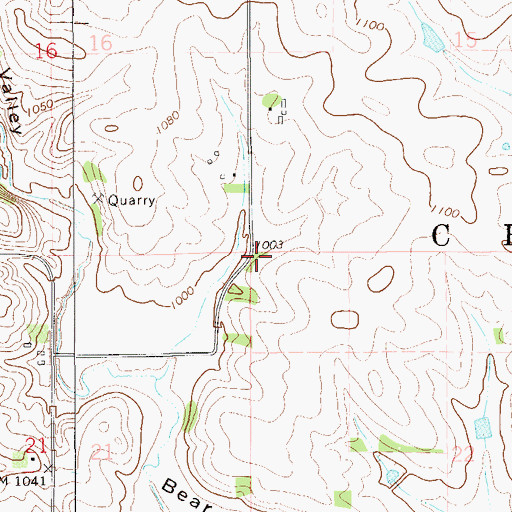 Topographic Map of Township of Chester, MN