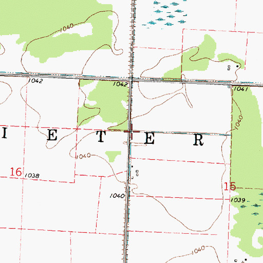 Topographic Map of Township of Dieter, MN