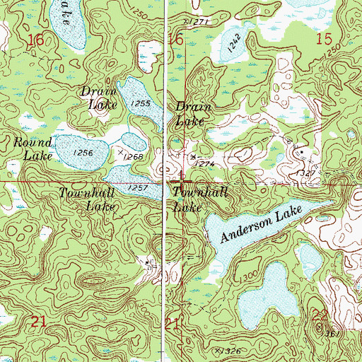 Topographic Map of Township of Farm Island, MN