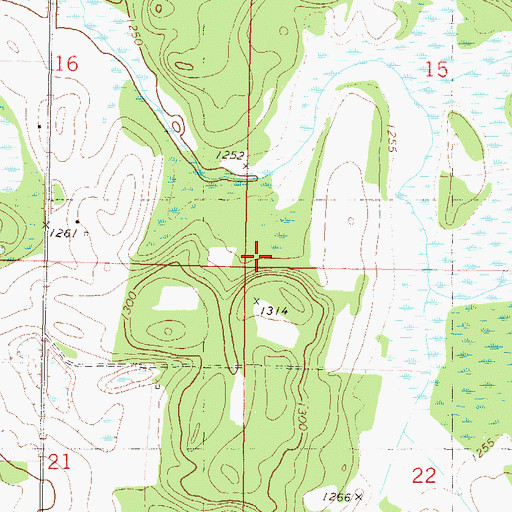 Topographic Map of Township of Fawn Lake, MN