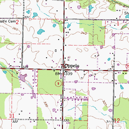 Topographic Map of Township of Bentley, AR