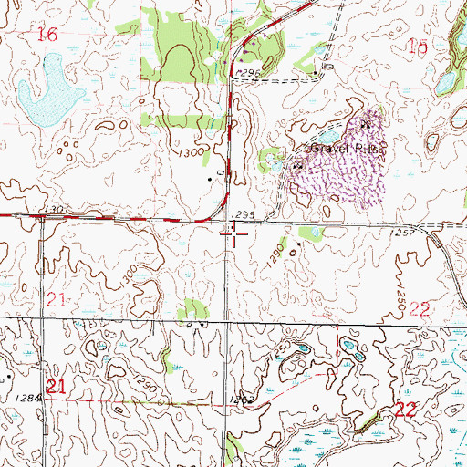 Topographic Map of Township of Grove, MN