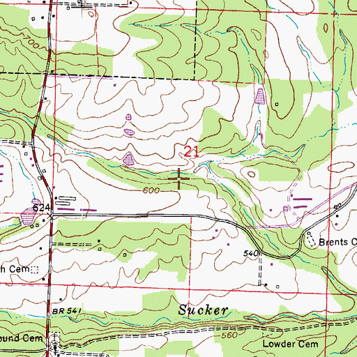 Topographic Map of Township of Nichols, AR