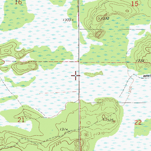 Topographic Map of Township of Lakeview, MN