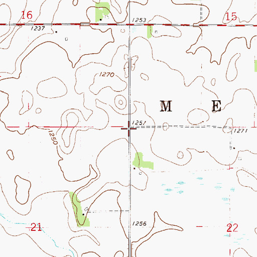 Topographic Map of Township of Merton, MN