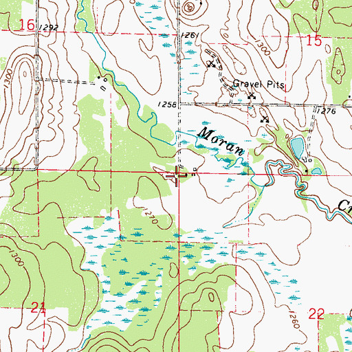 Topographic Map of Township of Moran, MN