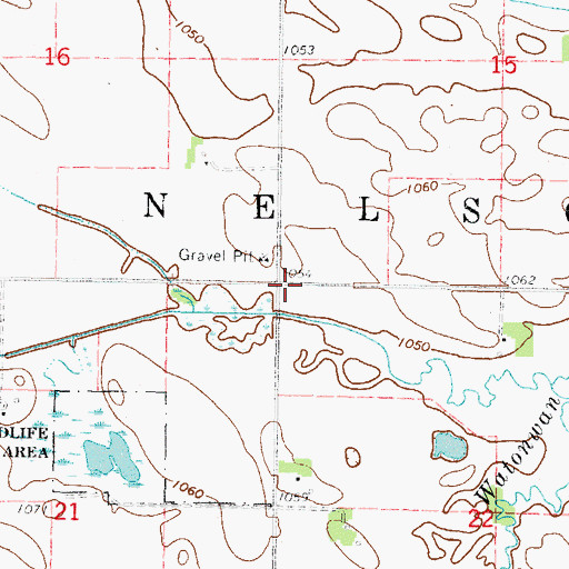 Topographic Map of Township of Nelson, MN